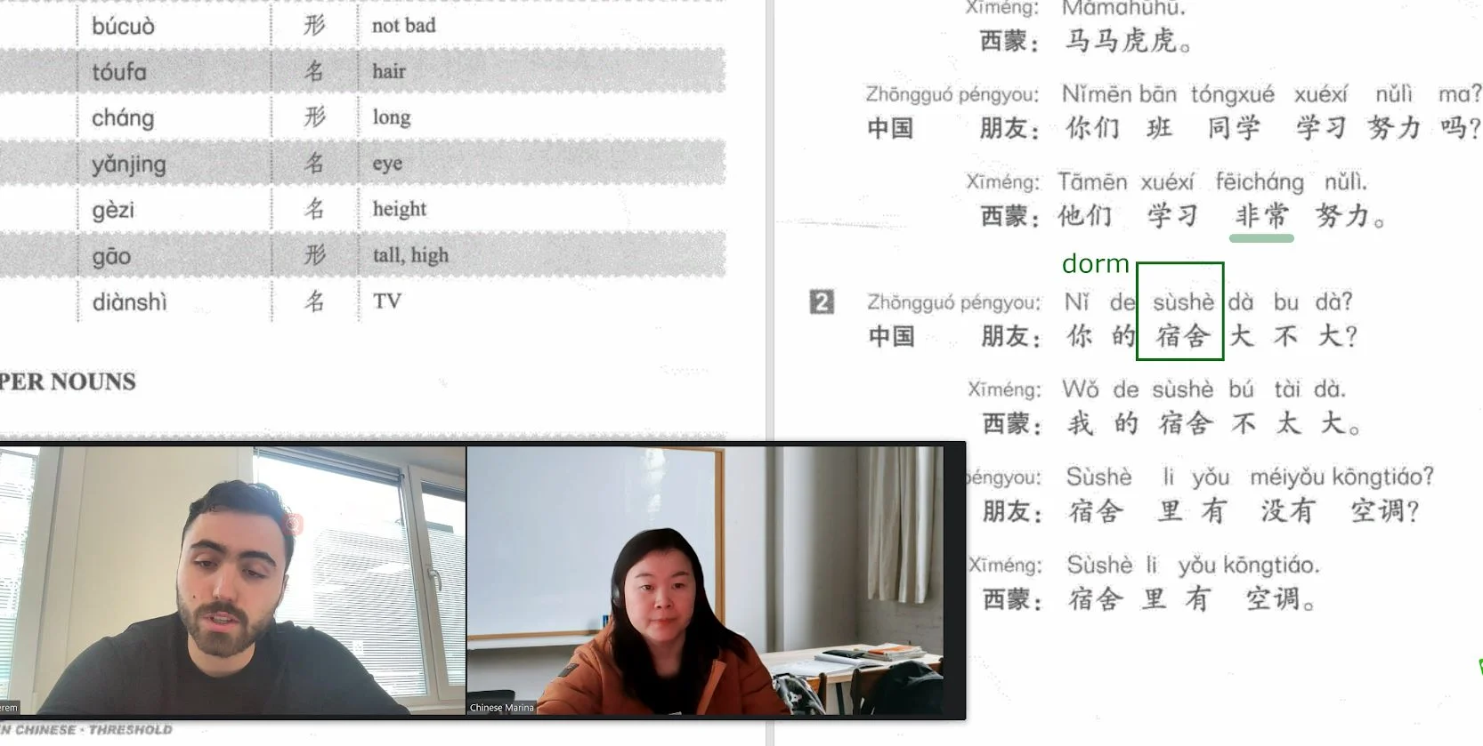 Online Mandarin lesson with student and teacher via Zoom