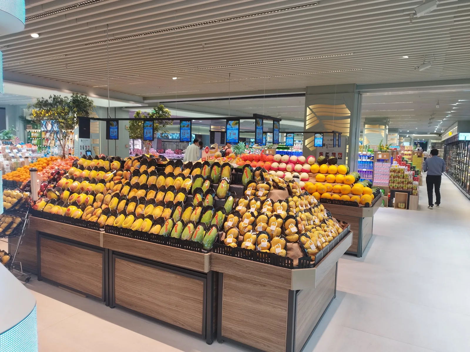 Supermarket chilled shelf full of imported Zespri kiwifruit in graded trays